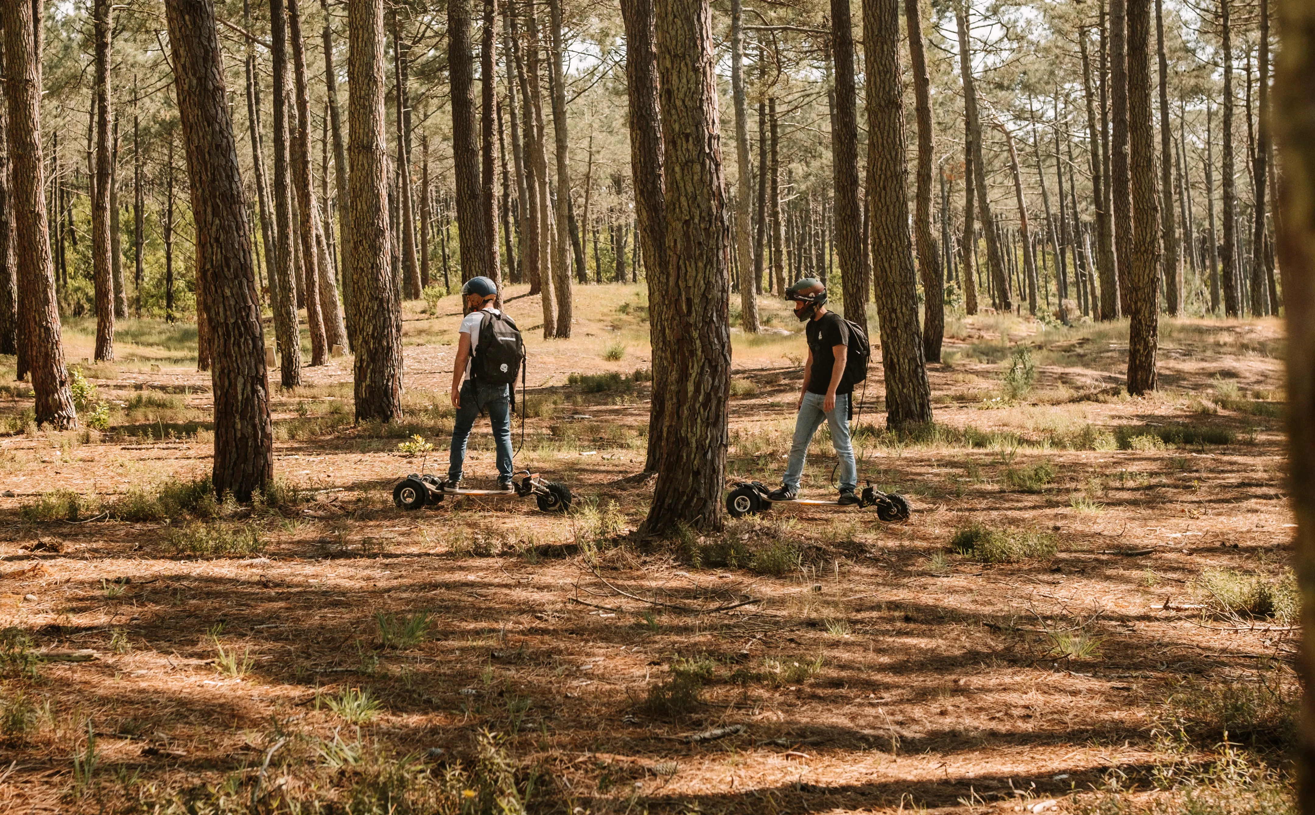 Bosque e-board Sternboard van lifers madera naturaleza silvestre nómada