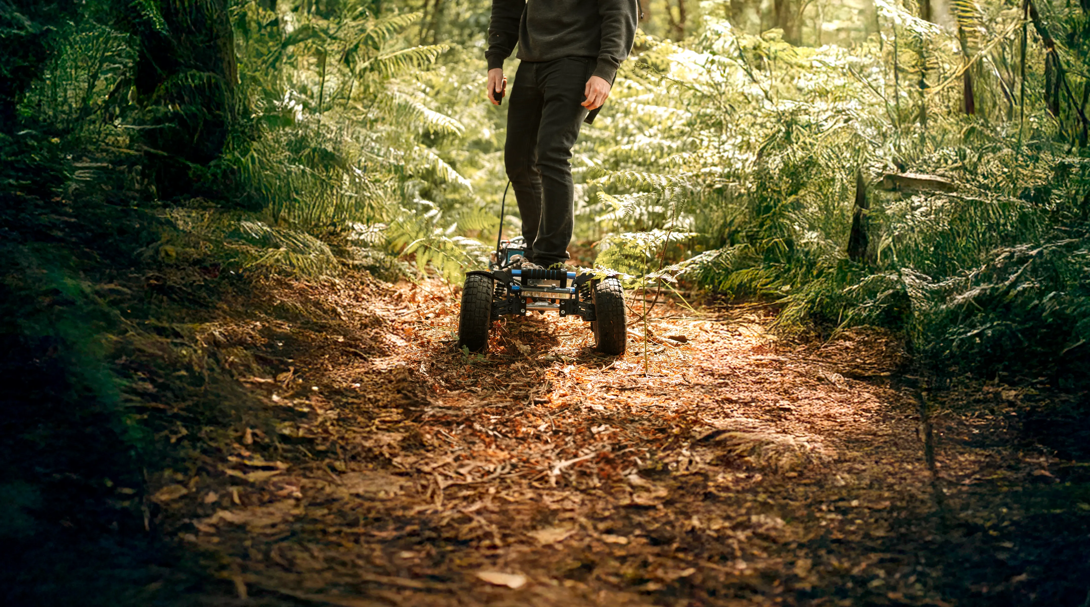 Bosque tabla eléctrica Sternboard sendero arbolado navegación forestal terreno