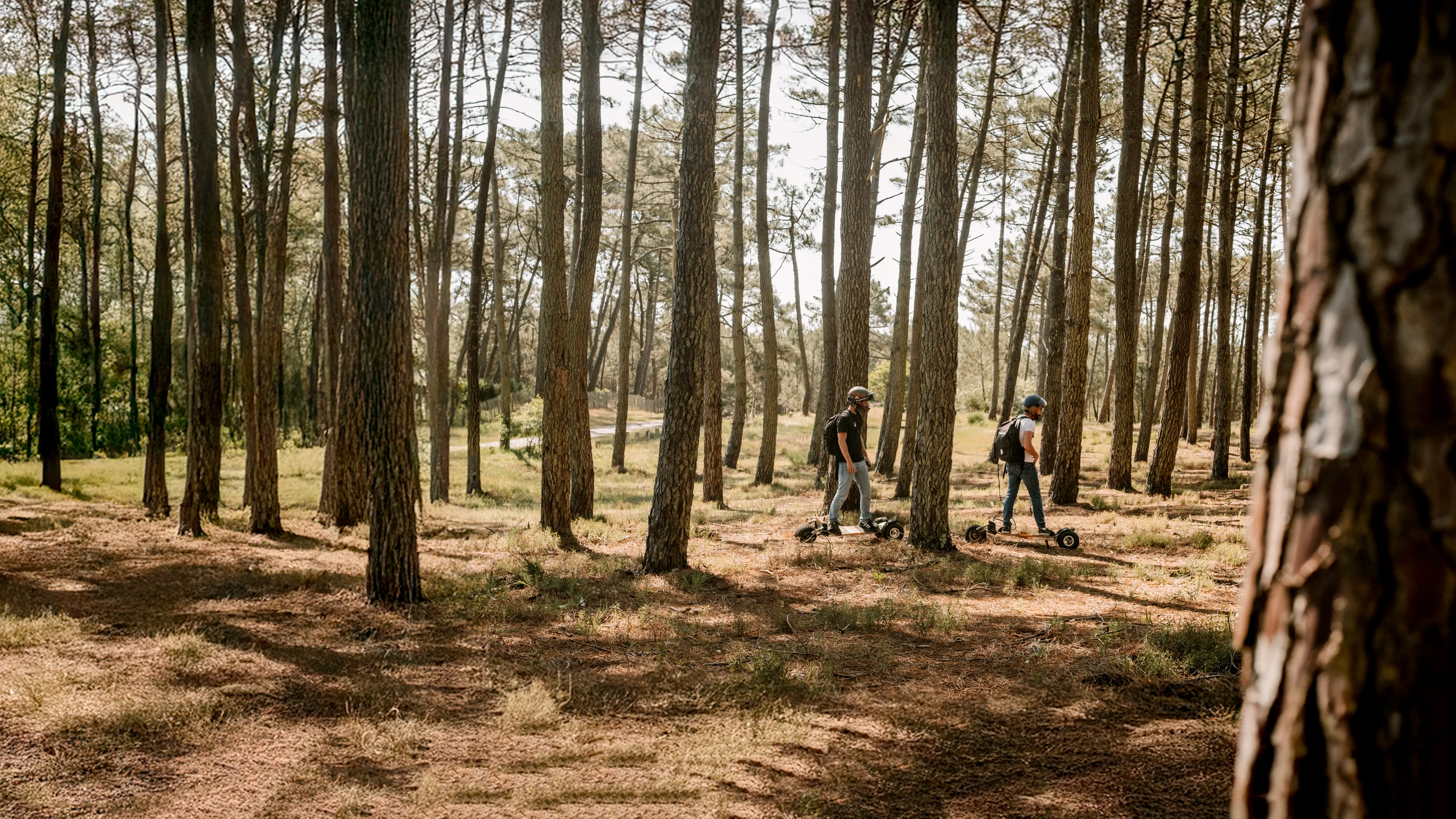Respeto naturaleza e-skate eléctrico Sternboard grupo ecológico responsable ambiente